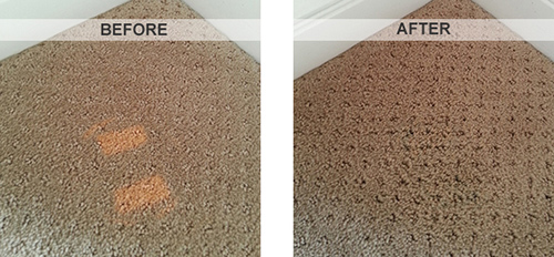 Carpet Dyeing Amarillo Cleaning