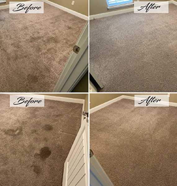 Before and after carpet cleaning photos