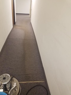 Worn hallway carpet with a dirty walking path down the center 